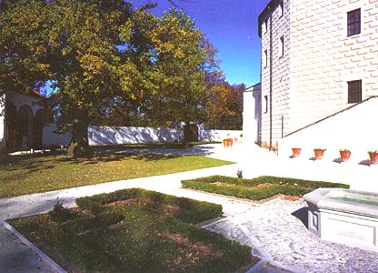 Pohlednice