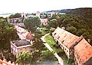 Veveří