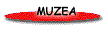 Muzea